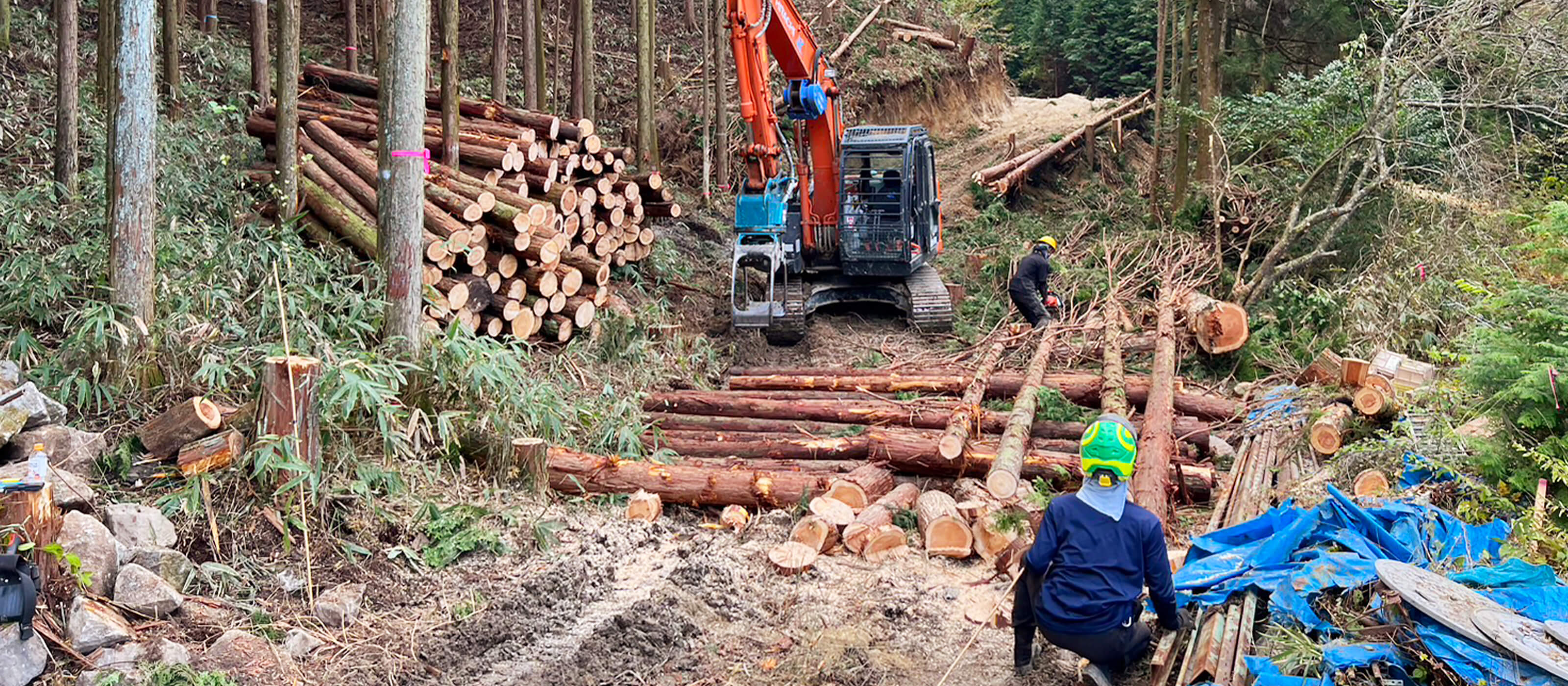 樹木伐採工事