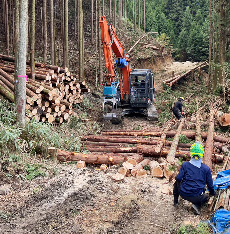 樹木伐採工事