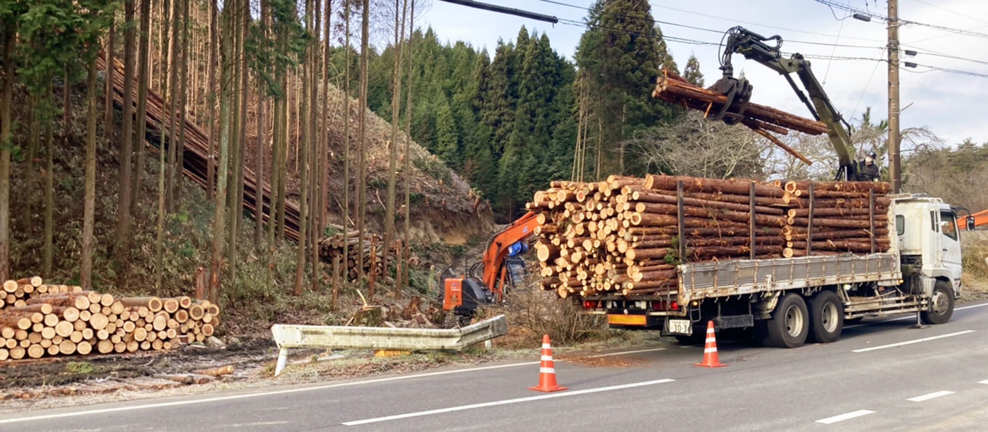 伐採木材搬出