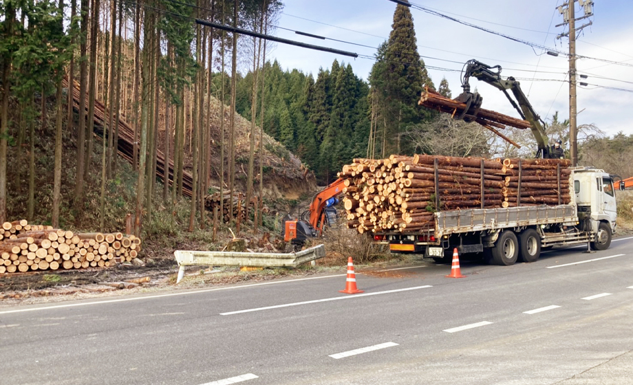 伐採木材搬出